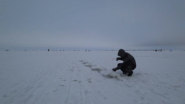 Ловля корюшки на Финском заливе, Южная Дамба, дубль два. смотреть онлайн