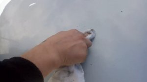 Жёлтые пятна от тополиных почек. Как их убрать