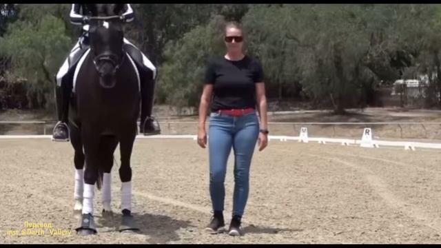 Учимся чувствовать задние ноги лошади и собственное седалище смотреть онлайн