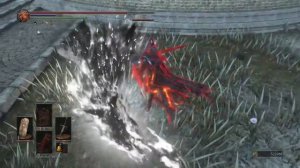 DARK SOULS™ 3 _пиромант против воина
