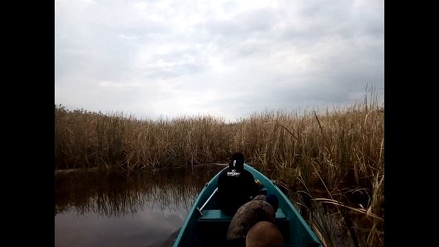 КУЛАС БОЛОТОХОД 27 СИЛ