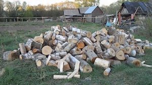 Из жизни в деревне#9.Дров теперь хватит.Дел прибавилось.