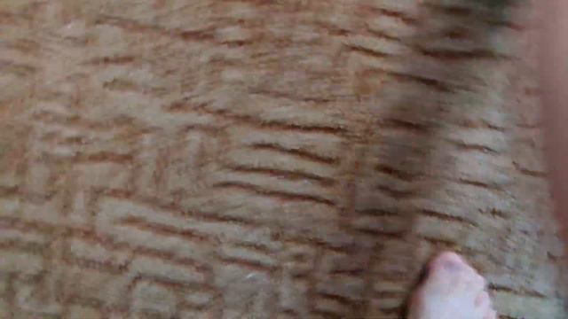 VLOG: ЖИЗНЬ В СЕЛЬСКОЙ ГЛУБИНКЕ. ОТ ВЕГЕТАРИАНСТВА СТАЛО ПЛОХО. МОЙ ЗАВТРАК. ЧИЩУ КОВЁР. смотреть онлайн