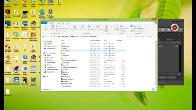 Как убрать зелёного жука в STALKER