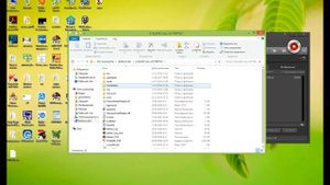 Как убрать зелёного жука в STALKER