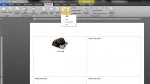 Create name tags using the Mail Merge feature in Microsoft Word