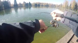 Важность горизонта в ловле форели | Подбор приманок | Денис Вихров расскажет