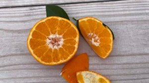 Танжело "Мелинхина" / Tangelo "Melinghina" ???