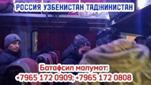 Автобус ба точикистон Москва Худжанд автобус Москва Душанбе автобус Дешевые авиабилеты по всему мир