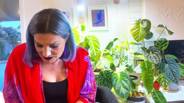 Rare Plant UNBOXING:  Anthurium Wendlingeri! Rousseau Plant Care