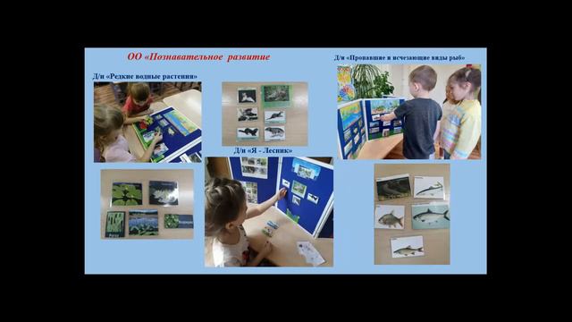 Дидак. пособие Красная книга реки Волги МАОУ д.с. 210 Ладушки. Борюсюк О.А., Григорьев Е.М. смотреть онлайн