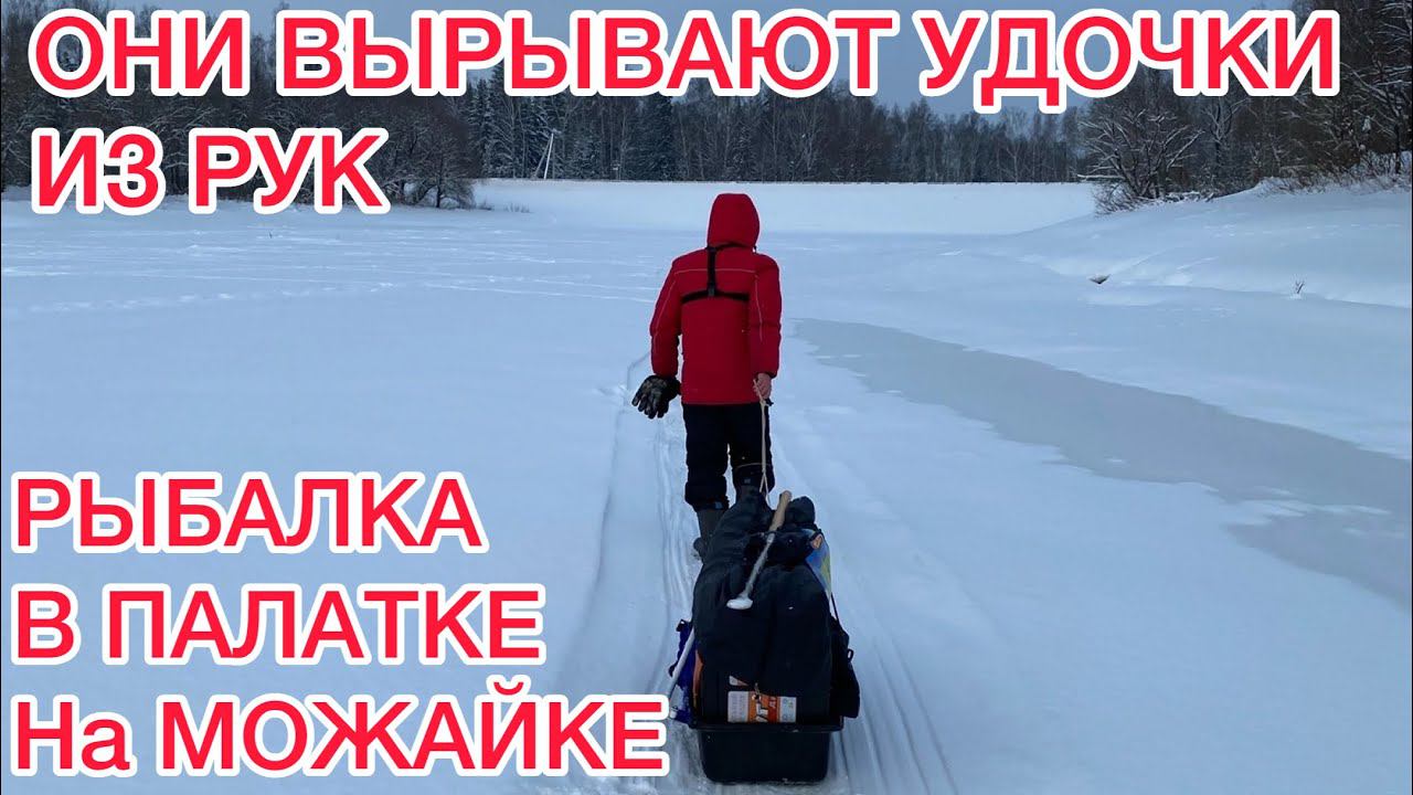 ОНИ ВЫРЫВАЮТ УДОЧКИ из РУК / ПЕРВАЯ РЫБАЛКА в ПАЛАТКЕ/ РЫБАЛКА на МОЖАЙСКОМ ВОДОХРАНИЛИЩЕ смотреть онлайн