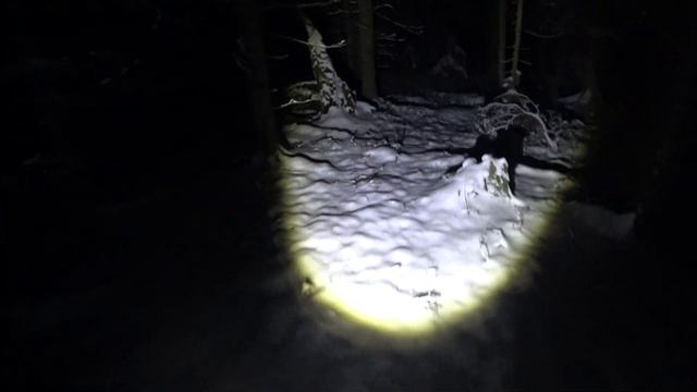 ИСЧЕЗНУВШИЙ В АНОМАЛЬНОМ МЕСТЕ "ЧЕРТОВ ОВРАГ 2/DISAPPEARED IN AN ANOMALOUS PLACE "DEVIL'S RAVINE 2 смотреть онлайн