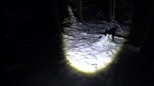 ИСЧЕЗНУВШИЙ В АНОМАЛЬНОМ МЕСТЕ "ЧЕРТОВ ОВРАГ 2/DISAPPEARED IN AN ANOMALOUS PLACE "DEVIL'S RAVINE 2