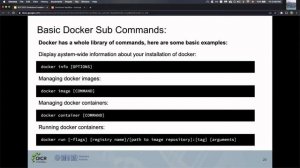 The Docker CLI