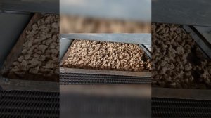 каша быстрого приготовления для собак быстроDOG