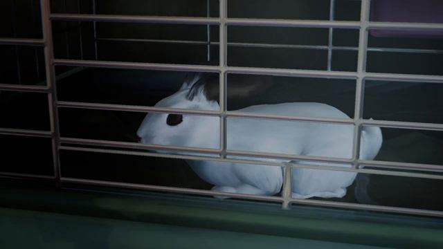 Жизнь - Странная Штука Переиздание Поле обзора (BRONZE)Сделайте доп. фото #1 в Эпизоде 2: Вразнобой смотреть онлайн