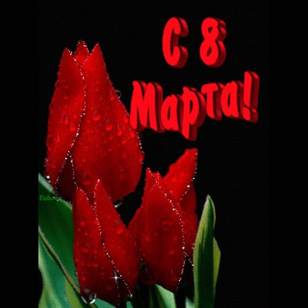 Поздравления! С Днем 8 марта, с днем Весны!
