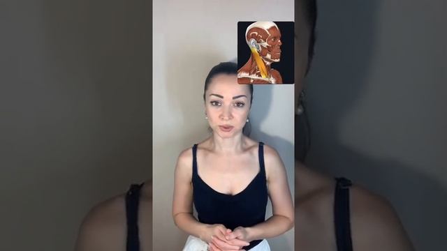О мышцах, которые влияют на состояние лица смотреть онлайн