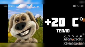 Сколько градусов: