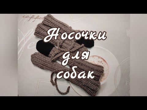 Как связать Носочки для собак и кошек, вязание спицами