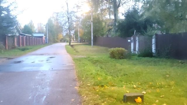 Я в осеннем лесу...А также вечер на Новоалександровский улице и огромные лужи.Осень в разгаре .