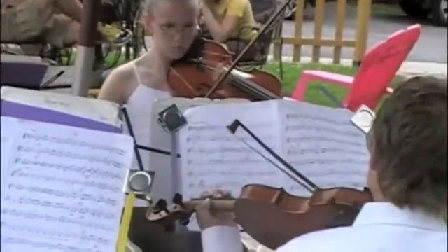 Violin V5