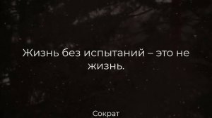 Лучшие Цитаты Сократа, которые заставляют задуматься. Цитаты, мудрые мысли.