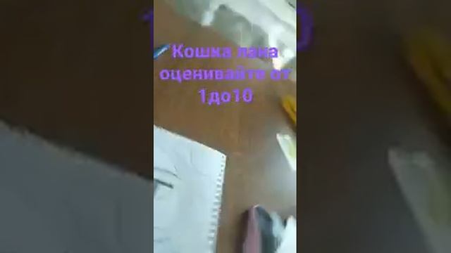 кошка лана оценивайте от 1 до 10 рисунок кошка лана