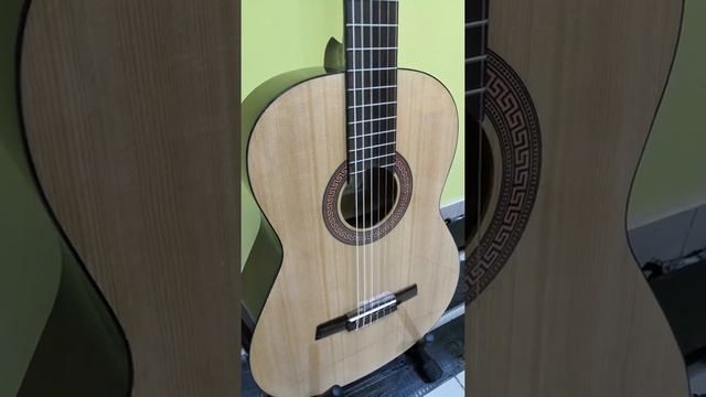 Классическая гитара Fabio FC06 смотреть онлайн