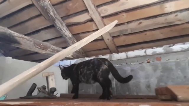 Поднимаю высоту потолка, залил опалубку смотреть онлайн