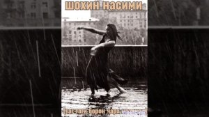 шохин насими (таги борон чарх мезанад 2022)