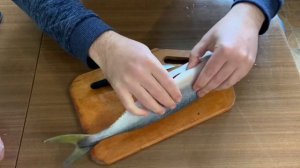 ? Тунец, разделка рыбы / Tuna, cutting fish / Тунець, обробка риби ?