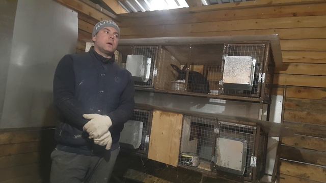 Случка кроликов смотреть онлайн