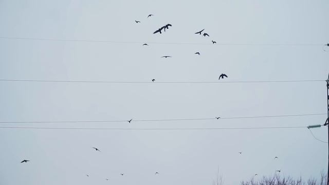 ОКУНЬ ЗИМОЙ на ультралайт. Рыбалка на спиннинг по холодной воде. Favorite Team
