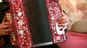 Для чего мы живём на земле (Я пытаюсь понять)...на гармони.