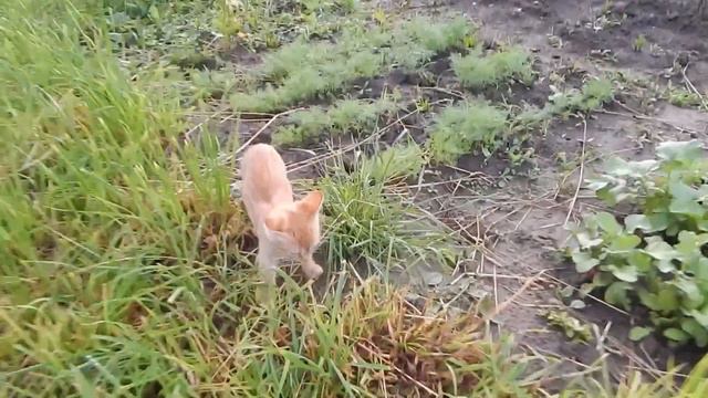 #Боль Земли на нашем участке