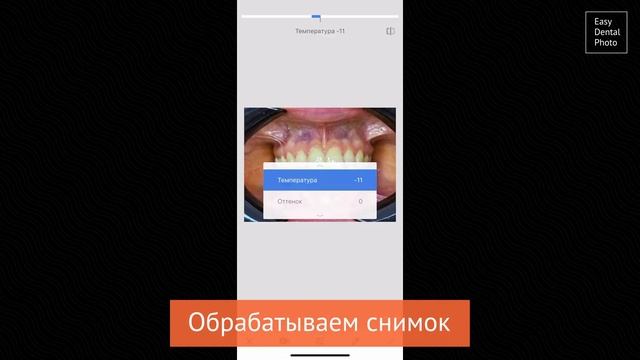 Новогодний подарок стоматологу: набор для фотопротокола