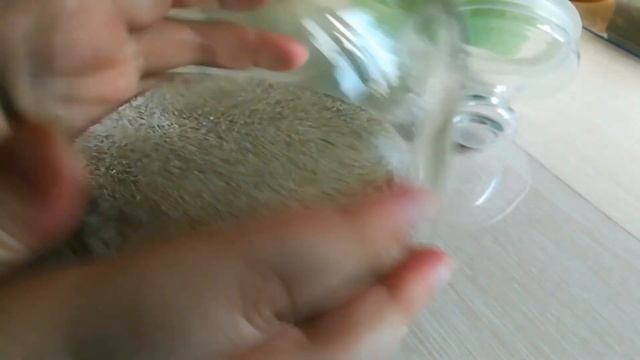 Влог: Перец даёт жару! Делаю декор для стенки из морских ракушек и песка.Первая клубника? смотреть онлайн