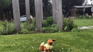 Ask or Dare the Eeveelutions Part 6!