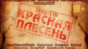 Zavid-Не женись в 25 (Tribute to Красная Плесень)