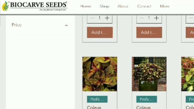 💥💥Top 5 Websites to Buy Online Seeds in India💥🌻🎍🏜🌼🌻💫