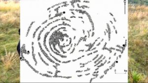 Уникальный археологический объект. "Стоунхендж" на воронежской земле.