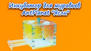 Инкубатор для муравьев AntPlanet "Ясли"