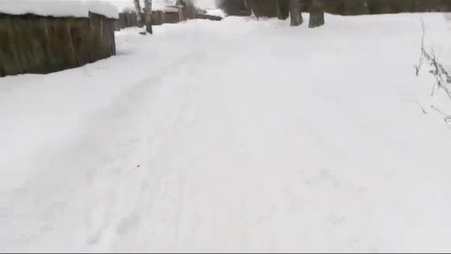 Прогулка до парка золоженым   Графом Шереметевым  в п.Юрино..