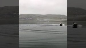 Катер ритм сузуки дт 140