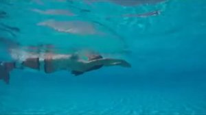 Плавание в хвосте русалки "Рыбка Немо", Китай