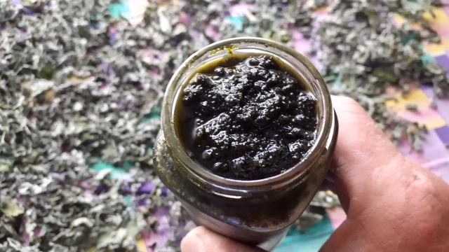 заготавливаем мяту. два способа. смотреть онлайн