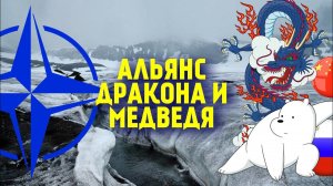 Китай высказался о расширении НАТО на Север