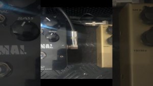 ANIMAL JROKKETT VS 45CALIBER